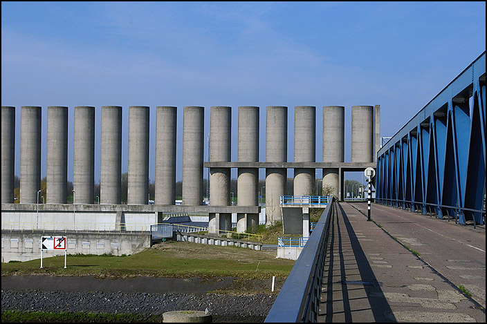 IMGP3146-1.JPG