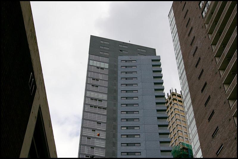 IMGP4306.JPG
