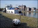 DSC00501
