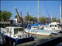 DSC00575